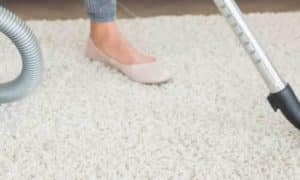 Loại bỏ Bọ chét và Ve Ra khỏi Nhà Bạn