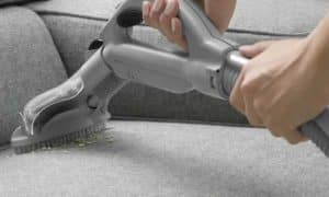 Cách diệt Bọ chét hay Ve