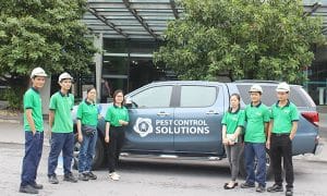 Các dấu hiệu của tổ ong