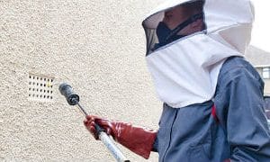 Cách ngăn ngừa Ong mật và Ong vò vẽ Làm tổ