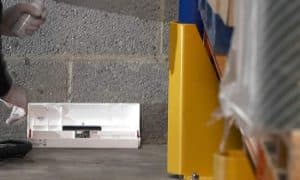 Cách ngăn chặn chuột nhắt