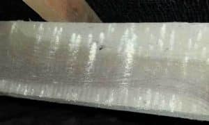 Các dấu hiệu xâm nhập của mọt gỗ