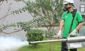 Cách xua đuổi ngài