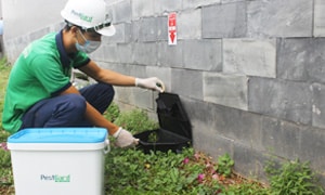 Chuyên môn kỹ thuật của chúng tôi