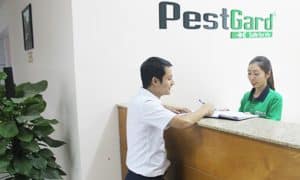 Vì sao lại chọn Anh Thư? 