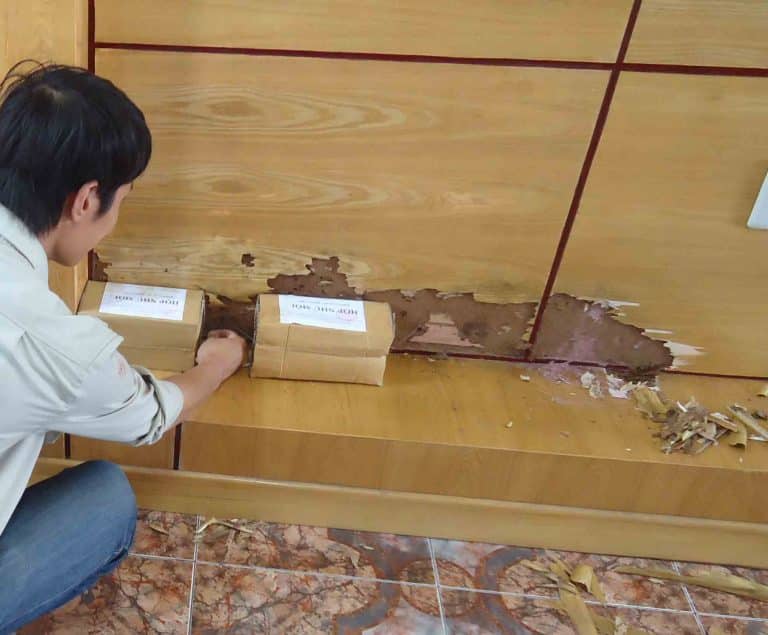 Hộp nhử mối PMC 90