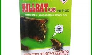Thuốc diệt chuột KILL-RAT