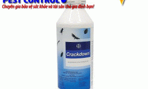 Thuốc diệt côn trùng CRACKDOWN 10SC