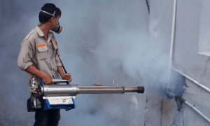 Dịch vụ diệt mối tận gốc Quận 8 Khử Trùng Xanh – GFC