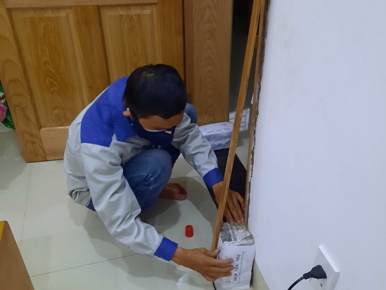 Dịch vụ diệt mối Quận 7