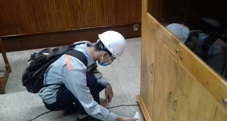 Dịch vụ diệt mối tại Quận 5