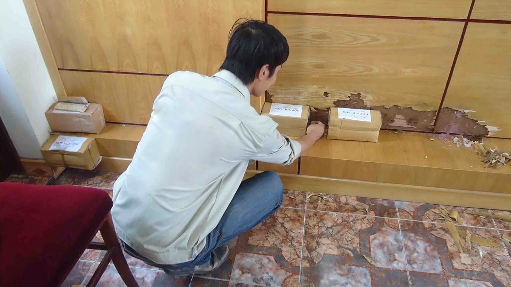 Diệt mối Quận 1