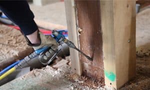 Dịch vụ diệt mối tận gốc Quận 10 TPHCM – Khử Trùng Xanh – GFC