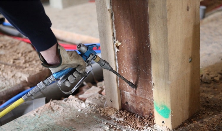 Dịch vụ diệt mối tận gốc Quận 10 TPHCM – Khử Trùng Xanh – GFC