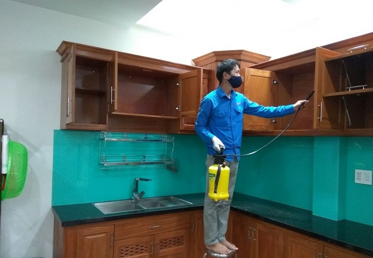 Diệt mối quận 6