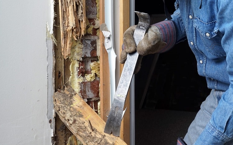 Diệt mối tại Quận 10