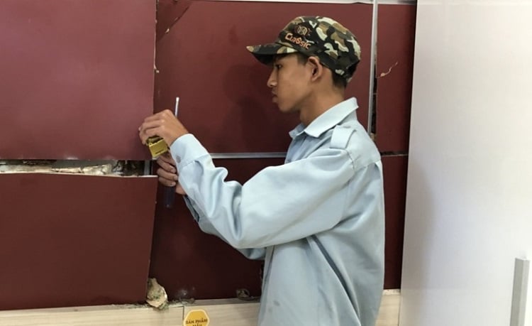 Diệt mối tại Quận 5
