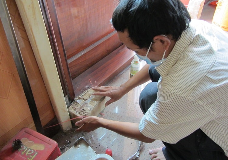 Diệt mối tận gốc tại Quận 3