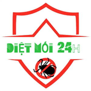 Dịch Vụ Diệt Mối 24H