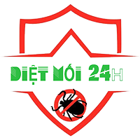 logo Dịch Vụ Diệt Mối 24H