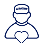 Chuyên gia địa phương