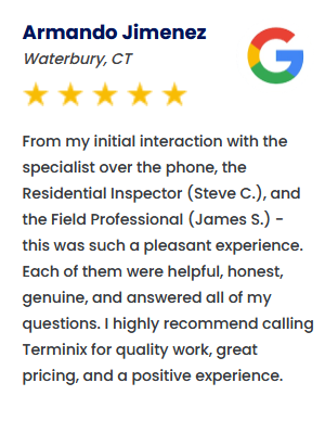 google review