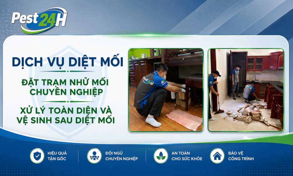 Kỹ thuật viên Diệt Mối 24H xử lý mối cho nhà ở tại TPHCM