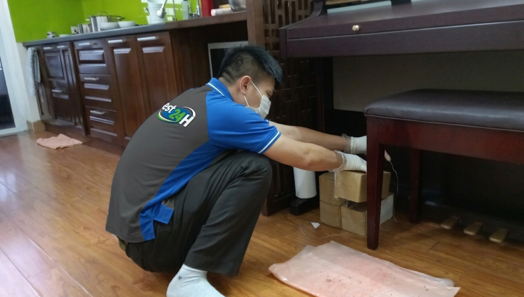 Diệt Mối 24H là đơn vị chuyên cung cấp dịch vụ diệt kiến tại TPHCM