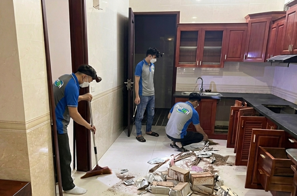 Mối phá hoại kết cấu gỗ trong nhà ở