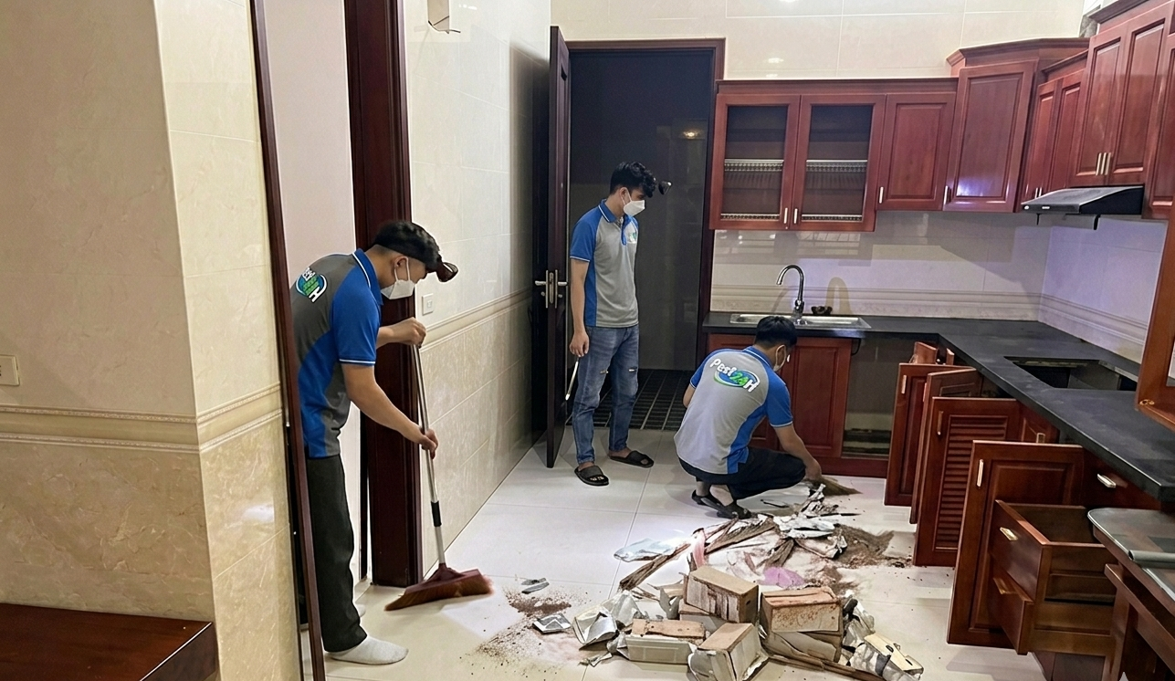 Dịch Vụ Diệt Mối 24H là đơn vị hàng đầu trong lĩnh vực xử lý các loài côn trùng gây hại hiện nay
