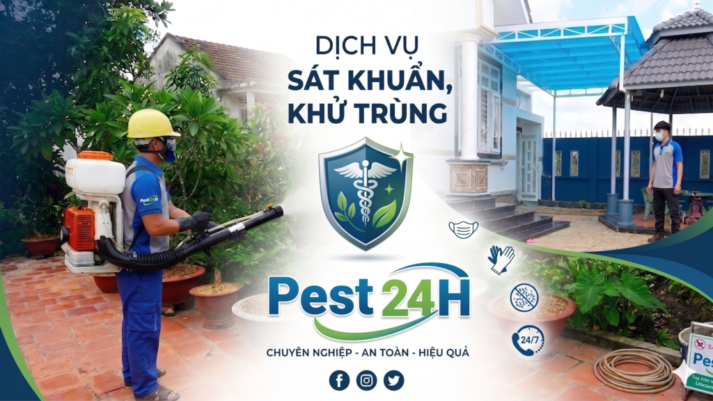 Kỹ thuật viên Diệt Mối 24H phun khử khuẩn cho doanh nghiệp