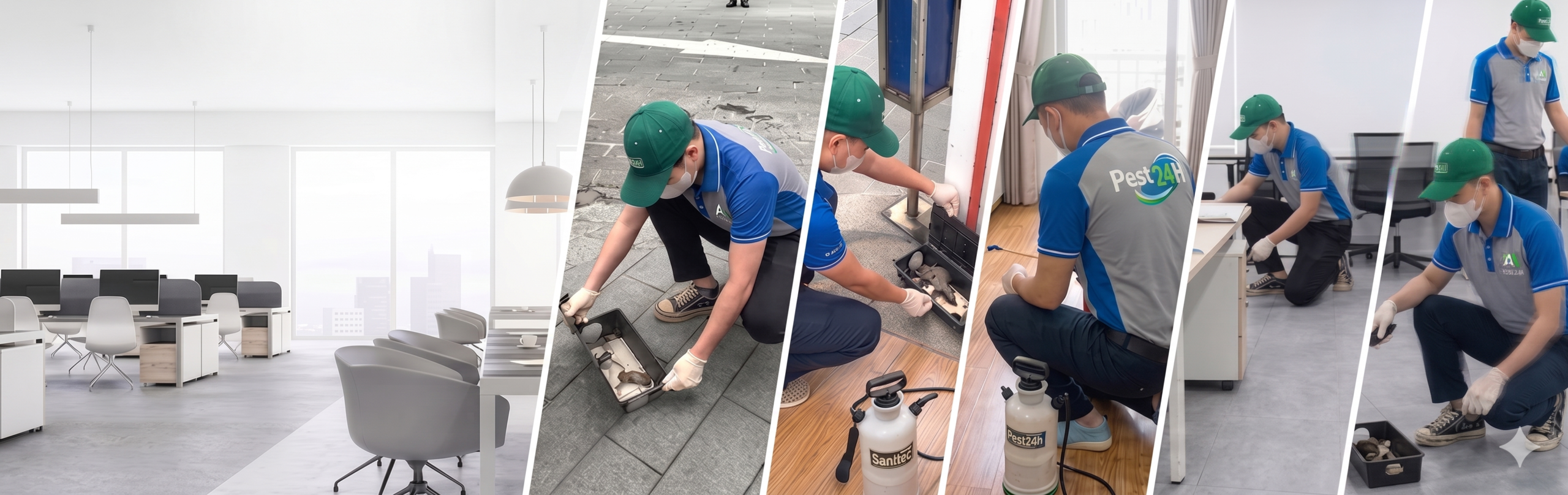 Dịch vụ diệt chuột tận gốc tại TPHCM