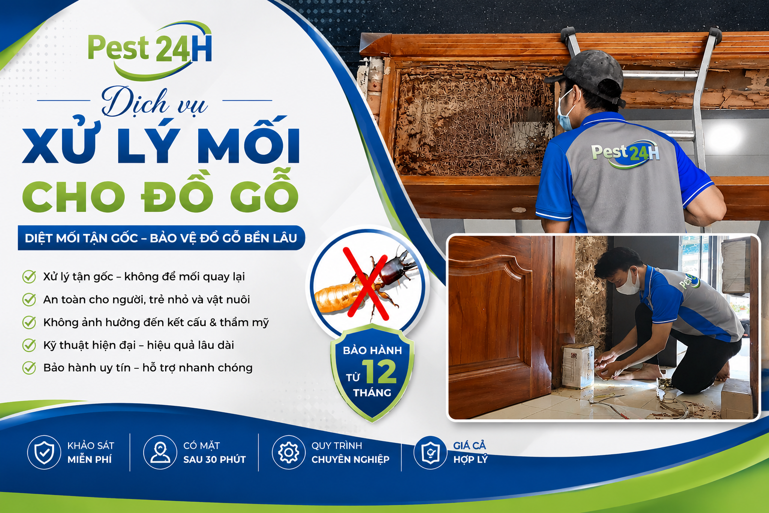 Dịch vụ xử lý mối cho đồ gỗ nội thất: Giải pháp tiêu diệt tận gốc