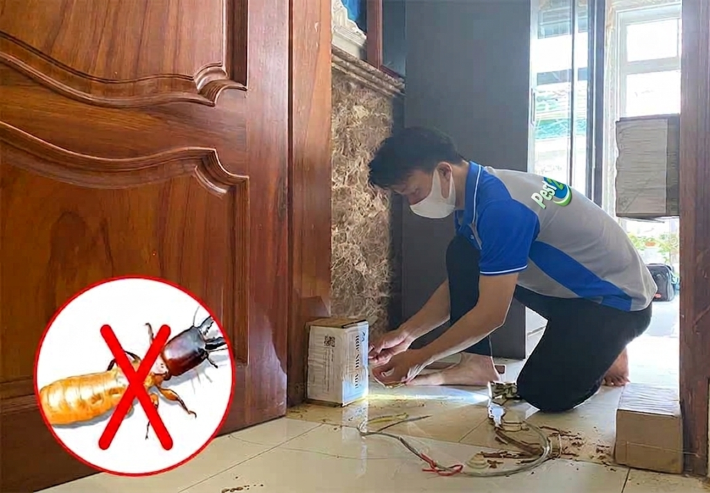 Thuốc bột lây nhiễm dùng với hộp nhử mối