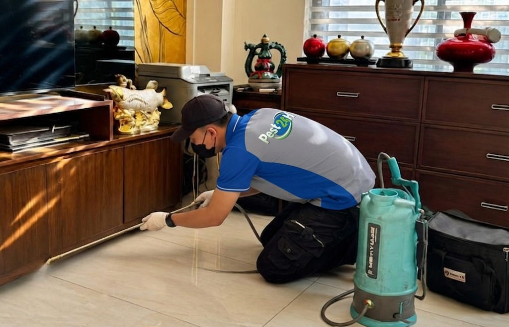 Đặt bẫy dính giám sát mật độ gián