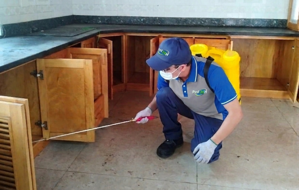 Phun thuốc diệt mối lên bề mặt gỗ