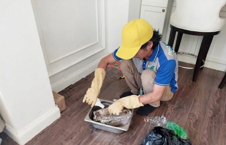 Khe nứt, kẽ hở